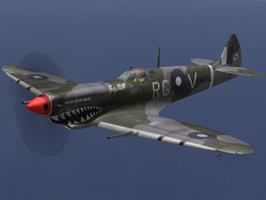 Supermarine Spitfire Mk. VIII Shark Attack!